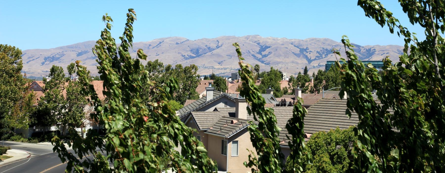 a group of houses with trees in the front