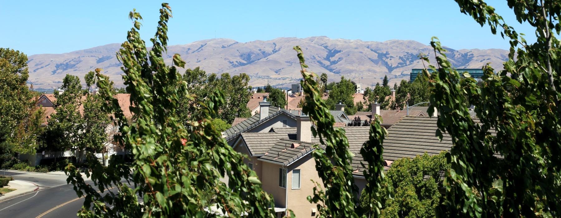 a group of houses with trees in the front