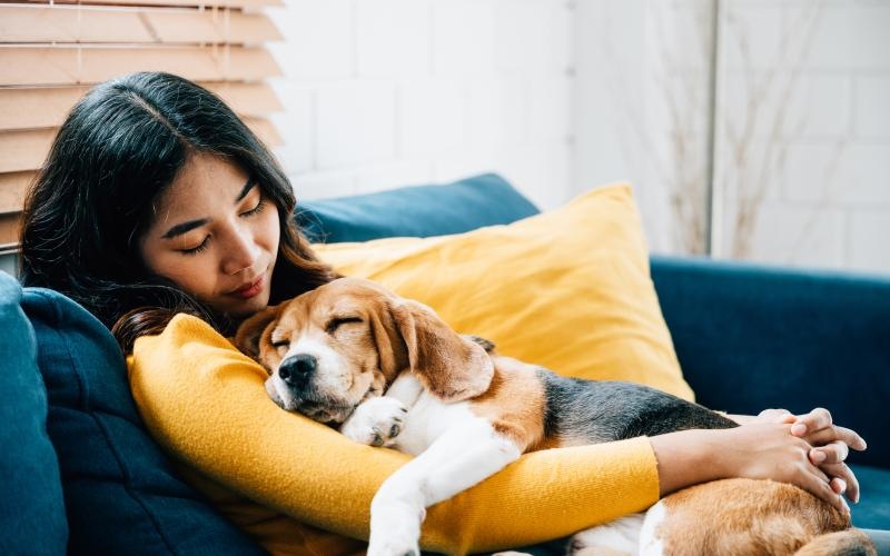 woman lying on a couch with a dog