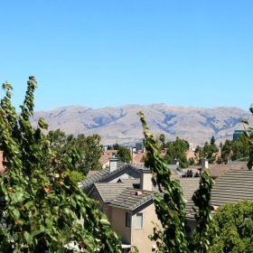 Settle into comfort at The Enclave a group of houses with trees in the front