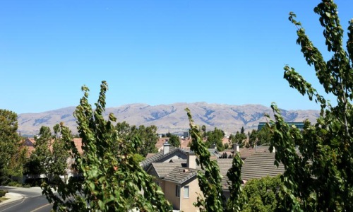 Settle into comfort at Enclave - CA a group of houses with trees in the front